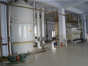 High Efficiency Coconut Rapeseed Palm Soybean Sesame Sunflower Maize Cotton Seeds Olive Cold and Hot Oil Mill Plant