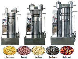 Small Peanuts Olive Oil Press Mill Machine Price Oil Presser